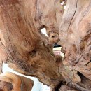 아천 문화관 이미지