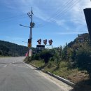 벽오동설렁탕 전문점