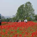 탑골농장 이미지