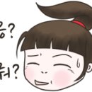 XPL 태권도 이미지