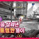 뚱자PC Daum카페