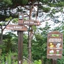 백야자연휴양림 이미지