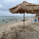 강현농업협동조합주유소 이미지