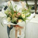 플레르다솔 이미지