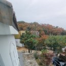 영흥도스크린골프독채펜션민박