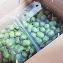 금이농장 이미지