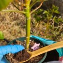 (주)이레팜 이미지