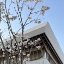 딘치 클래식 콘서트 피아노의 회상 | 어쩌면 해피엔딩 2차 관극 후기 / 전미도, 정휘, 박세훈/ 평택아트센터 1층 B구역 6열 시야/ 내용 스포...
