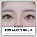 광안리 속눈썹연장 추천, 여름 여행 준비는 한올한올 광안점 깃털래쉬