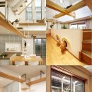 탐나는 고양이 이미지