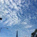 청춘물고기 이미지