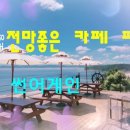 썬어게인SUNAGAIN
