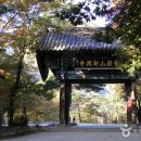 흥왕목장 | 코로나 끝나면 어디 가지? 나에게로 떠나는 여행, 기차 타고 템플스테이