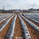 우강초등학교 이미지