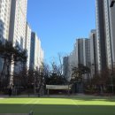 옥길자이부동산공인중개사사무소 | 옥길동공인중개사 옥길동아파트전세 옥길한신더휴 옥길라인공인중개사사무소