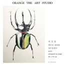 오렌지디아트스튜디오미술교습소