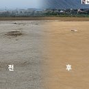 철원교육지원청1 | 철원야구장 보수작업 완료
