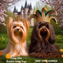 Dog Salon 이미지