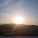 원조 화심두부 이미지