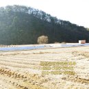 원주토지공인중개사사무소 이미지