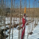 여주-0091 이미지