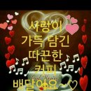 은지초등학교 이미지