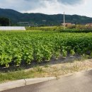 사암1리 이미지