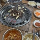 황소고집 이미지