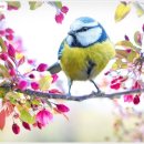 문화발전소 창공 이미지