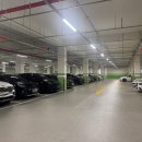 앞산카페거리 경관조 | 대구 앞산 빨래터 공원 야경 겨울정원 일정 데이트코스 대형트리