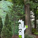 6월 6일 (토) 서울숲 국제 정원박람회 / 뚝섬 한강 공원산책 이미지