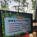 갈비꽃광교