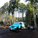 고망돌담 이미지