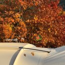 봉선부엉이체험마을 | 청도캠핑 :: 청도 가족숲캠프 느린하루 캠핑 후기 / 청도 신화랑 풍류마을 오토캠핑장