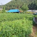 양동보건지소 이미지