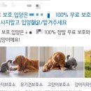 하이바이 분양소 이미지