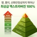 비디사이언스 | 기름이 지방을 잡는다 — 지방대사 원리 과학적으로