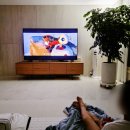 The Wild Robot | The Wild Robot - 5점대 영어책 소개