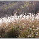 제41차 순천 조계산 연산봉~천자암(10월 26일) 이미지