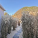 행복누리고펜션 | 청도독채펜션 스테이더담 각북점 대형 야외 자쿠지에서 럭셔리 쉼표