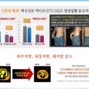 슬림
