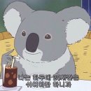 첫 추어탕 도전기