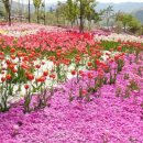 지리산생태체험단지 이미지