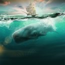 퍼플오션 이미지