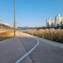 섬기는내과의원 네이버블로그