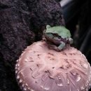 선우농장3 이미지