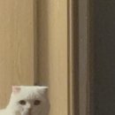 왁