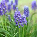 우리동내 이미지