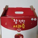 건강더하기 - 원주시 이화2길 11 | 고당도 사과즙 집에서 마시는 건강주스 애플더하기 사과주스 솔직 후기