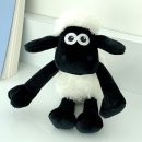 (주)씨앤씨드림 이미지